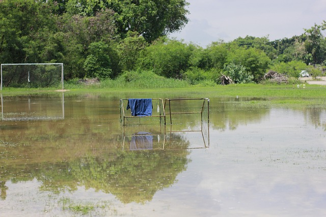 葡超战报：阿格霍瓦、桑托斯破门，波尔图2-0战胜通德拉